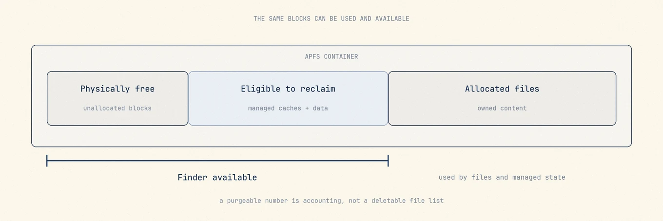 APFS free space is shared across volumes and can still be held by snapshots after a delete