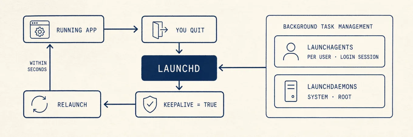 退出应用后，launchd 发现 KeepAlive 为真并重新启动它，形成循环；用户代理与 root 守护进程显示为两个独立层级。