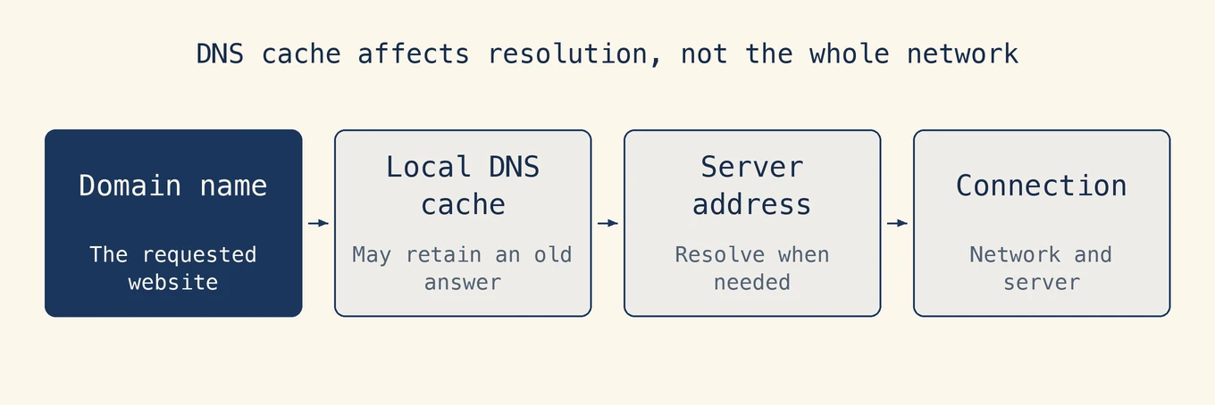 La caché DNS afecta a la resolución, no a toda la red