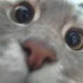 hhh2210